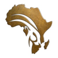 CE-AFRICA® (Pty) Ltd logo - Similar company to Caldas Engineering