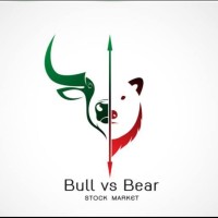 Bull vs Bear logo - Similar company to Cotalent Corp