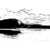 Bear Pond Research