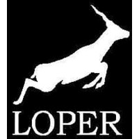 Loper Financial logo - Similar company to Her Retirement - Retirement Education Experts