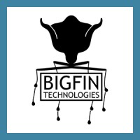 Bigfin Technologies