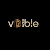 Vxible Studio logo - Similar company to Vxi Digital