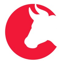 Databull logo - Similar company to The Data Bull