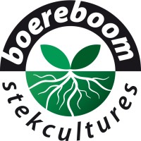 Boereboom Stekcultures