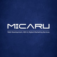 Micaru Tech logo - Similar company to Binaryroots