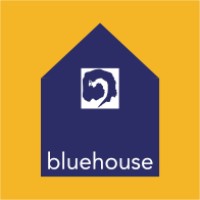 Bluehouse Consulting Group, Inc logo - Similar company to Mckenzie Worldwide