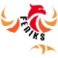 Feniks Installatie-adviseurs bv logo - Similar company to Teeca