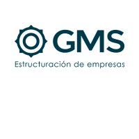 GMS Consultoría logo - Similar company to Plg Capital