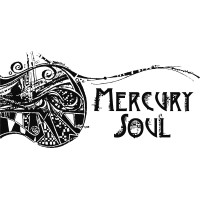 Mercury Soul logo - Similar company to Ohs Technologies