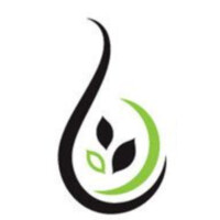 TF Ventures LLC