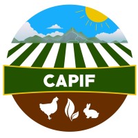 CAPIF GABON logo - Similar company to Fablab Moanda