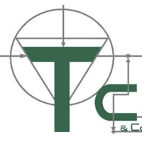 TC-ELECTRICITE logo - Similar company to Transelec