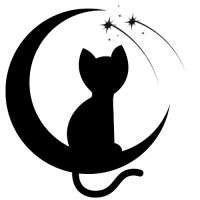 Snow Freight Inc logo - Similar company to Dignisys, Inc.