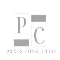 Praus Consulting logo - Similar company to Zoomex