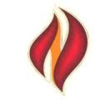 National Fire Control system logo - Similar company to Chic Casa India | U.A.E.