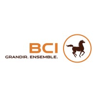 BCI Congo logo - Similar company to L'Archer