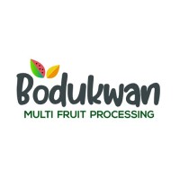 Bodukwan Multifruit Processing Company logo - Similar company to Picasso Sales And Marketing Services