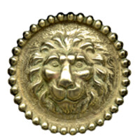 Elizabeth Street Veterinary Clinic logo - Similar company to Eco Vets