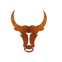 Indova Capital logo - Similar company to Nipuna Erp