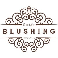 Blushing logo - Similar company to Appsynergy By Parasql Llc