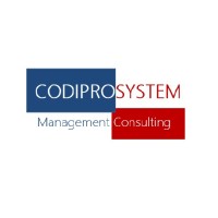 CODIPROS Consulting Group logo - Similar company to Bustamante Hseq