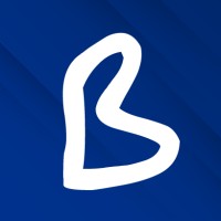 Brildor logo - Similar company to Nikovi Solutions S.L