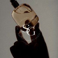 Scent Gallery logo - Similar company to Cogent Consulting - Sap Process Improvement
