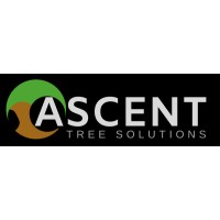 Ascent Tree Solutions Ltd logo - Similar company to Ascent Tree And Turf Services