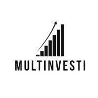 MULTINVESTI logo - Similar company to Pinlost.Com