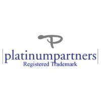 Platinum Partners GmbH logo - Similar company to Blue Earth Foundation