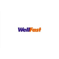 Wellfast Logestics Co.,Ltd. logo - Similar company to Robin Logistics(3Pl,4Pl)