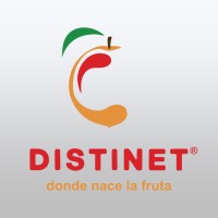 Distinet Murcia logo - Similar company to Molnar