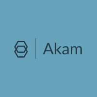 Akam IT Group logo - Similar company to Akam Netherlands Bv
