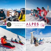 Agence des Alpes logo - Similar company to Concedio Immobilier