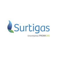 SURTIGAS logo - Similar company to Nebo Data Analysis