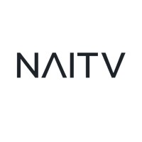 Naitv logo - Similar company to Data Blueprint