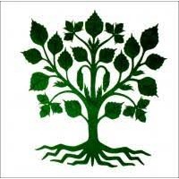 Lohjan Yhteislyseon lukio logo - Similar company to Amis Expressions