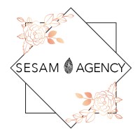 Sesam Agency logo - Similar company to Centre Social Et Interculturel Alco