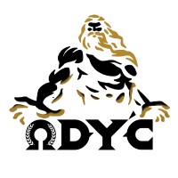 BDE ODY'C logo - Similar company to Artysa