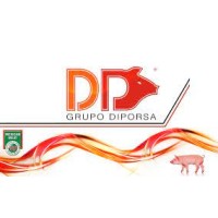 Diporsa Toluca logo - Similar company to Dicova