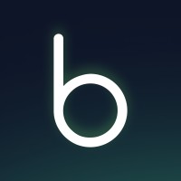 bodo.ai logo - Similar company to Netscale