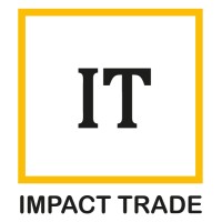 Impact Trade logo - Similar company to Kamil Web Solutions