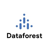 Dataforest logo - Similar company to Dataforest