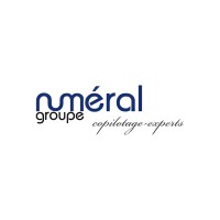 Numéral Groupe logo - Similar company to Sofico, Cabinets D'Experts Comptables Pau / Bayonne
