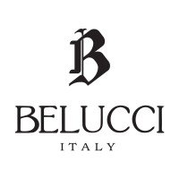 Belucci logo - Similar company to Zat Solutions