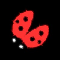 Ladybug Security logo - Similar company to Chair Of Structural Analysis And Dynamics (Rwth Aachen University)