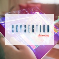 SkySection logo - Similar company to Sky 3,14 Digital Media Agency