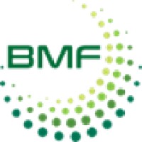 BMF Group logo - Similar company to Bmf, Llc
