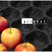Prinest logo - Similar company to Iron Fox Sp. Z O.O.