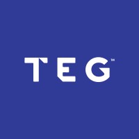 Transformation Entertainment Group logo - Similar company to Technology Excellence Group (Teg)